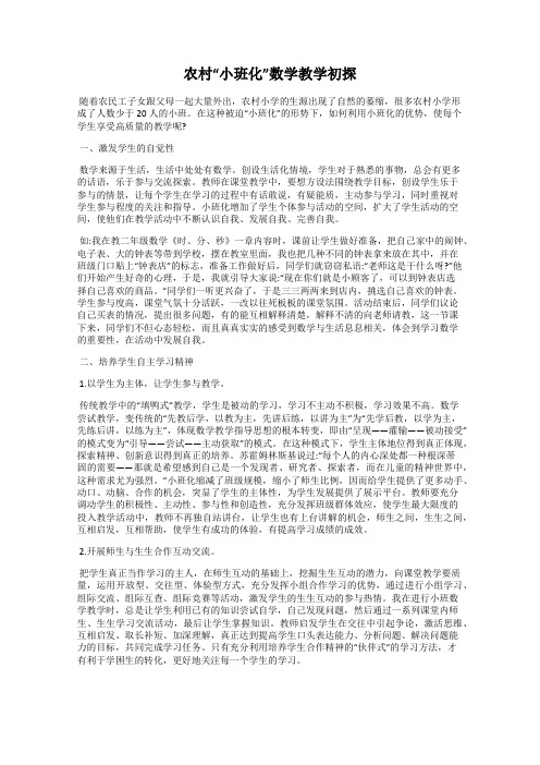 农村“小班化”数学教学初探