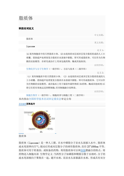 脂质体了解知识