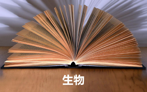 专题十四考点2神经、体液调节在维持稳态中的作用