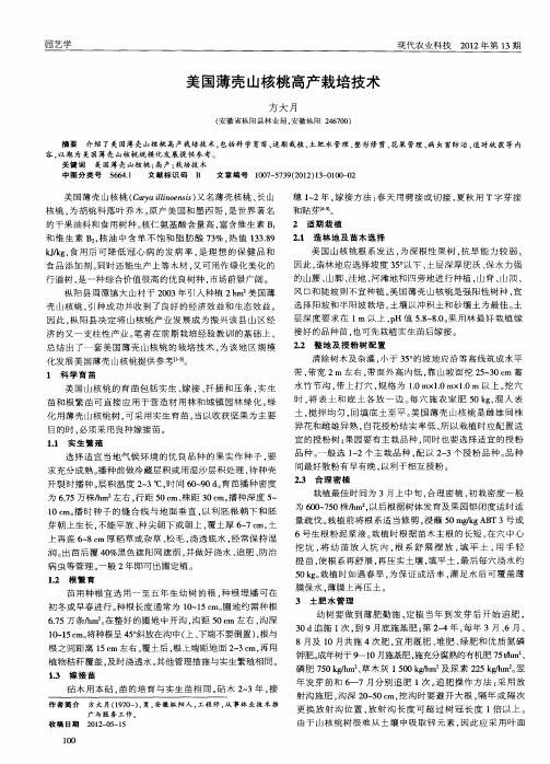 美国薄壳山核桃高产栽培技术