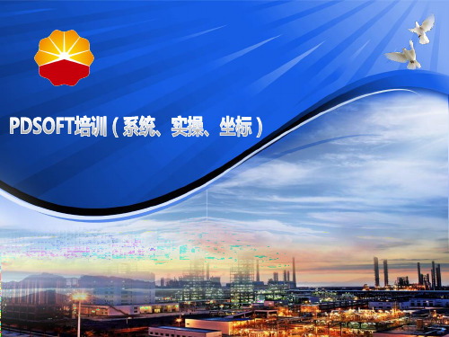 PDSOFT培训三(系统、实操、坐标)解析
