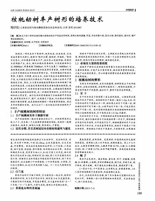 核桃幼树丰产树形的培养技术