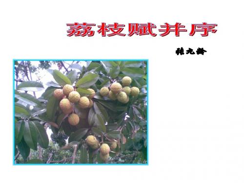 15荔枝赋并序.