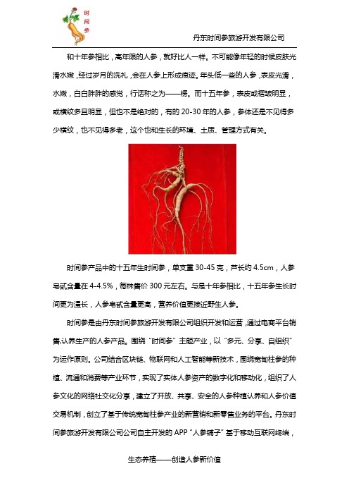 十五年参的品质怎么样