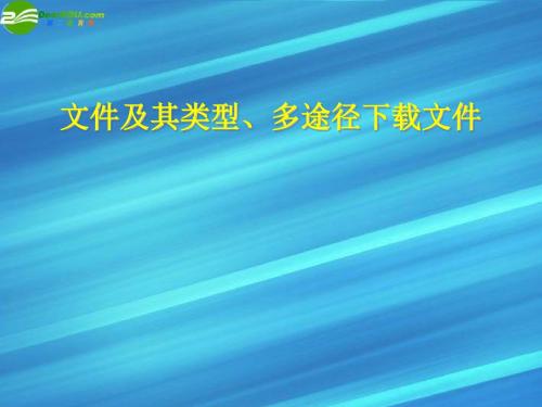 高中信息技术 文件及其类型、多途径下载文件课件 教科版必修1