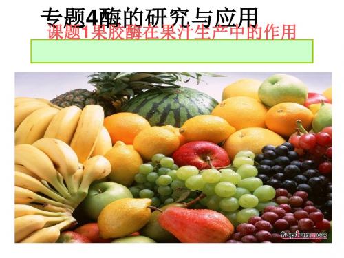 《果胶酶在果汁生产中的作用》PPT课件1 人教课标版
