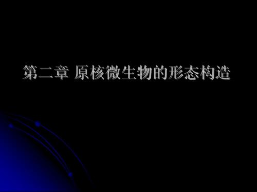 第二章 微生物的形态构造