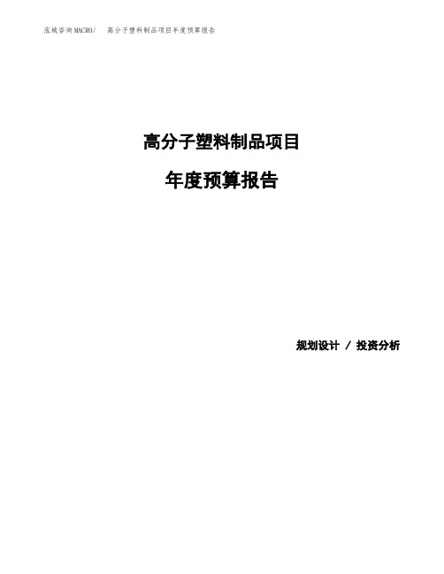 高分子塑料制品项目年度预算报告