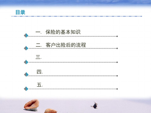 中国平安2010保险知识培训