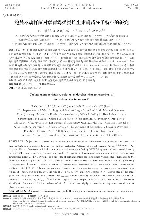 鲍曼不动杆菌对碳青霉烯类抗生素耐药分子特征的研究