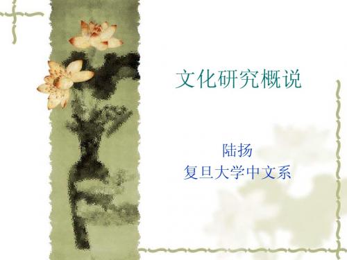 文化研究概说