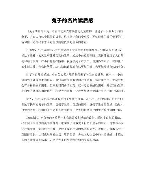 兔子的名片读后感