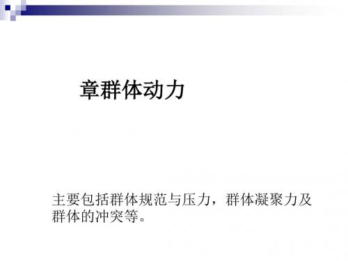 群体动力培训讲义(PPT 45张)