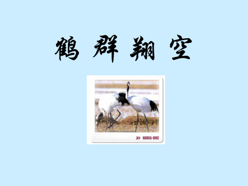 鹤 群 翔 空PPT教学课件