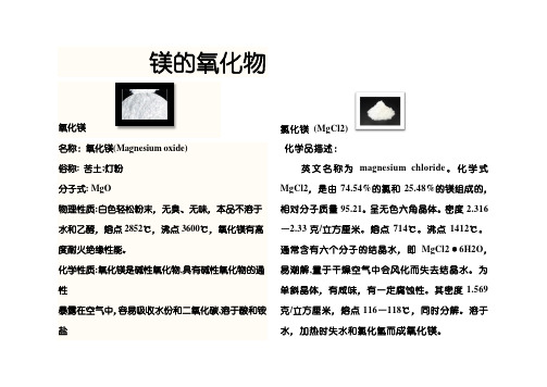 镁的氧化物