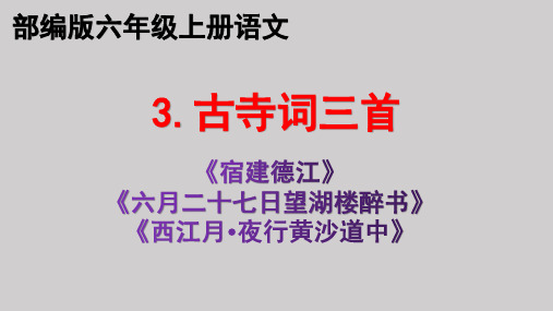 部编版3.古诗词三首(宿建德江 六月二十七日望湖楼醉书 西江月-夜行黄沙道中)教学课件PPT