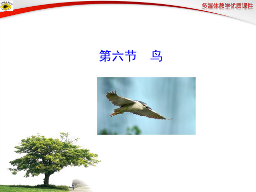 保护庄稼好卫兵4PPT课件