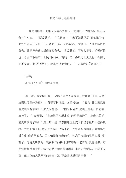 皮之不存,毛将焉附