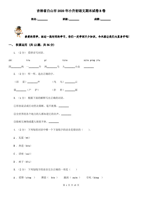 吉林省白山市2020年小升初语文期末试卷B卷