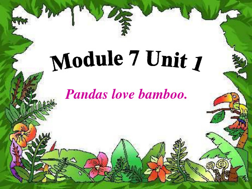 外研新标准(一年级起点)六年级上Module7 Unit1Pandas love bamboo