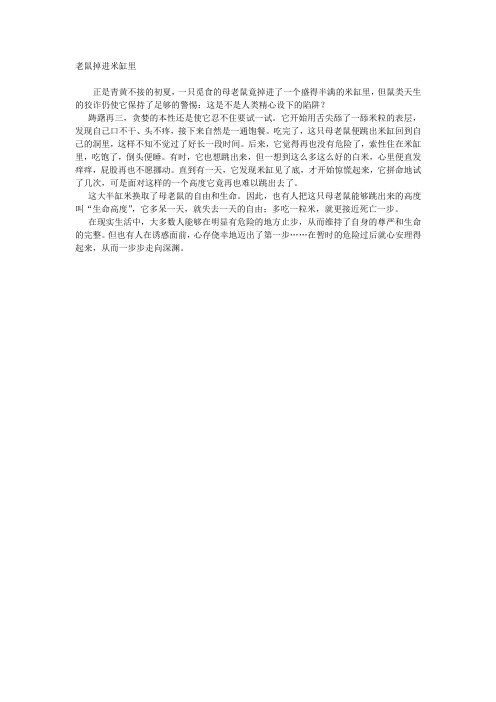 老鼠掉进米缸里