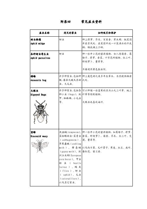 菜园里的学问附录四常见益虫资料