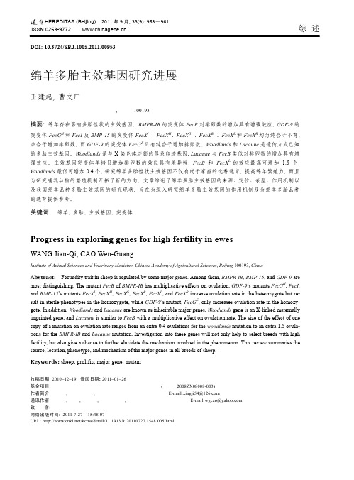 绵羊多胎主效基因研究进展