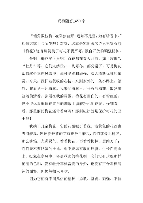 观梅随想_450字