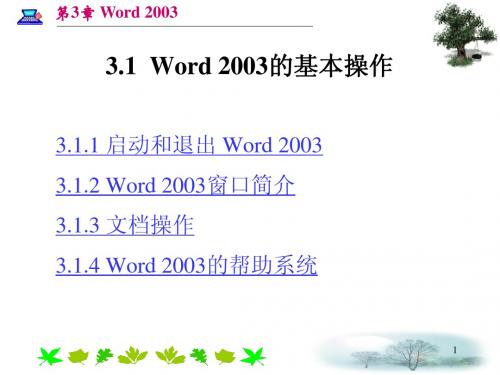 word_2003基本操作课件