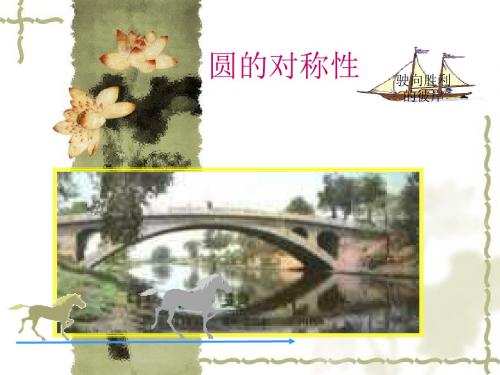 5.2圆的对称性
