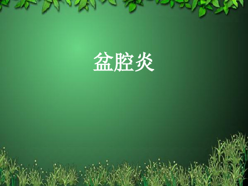 盆腔炎、痛经-中医课件