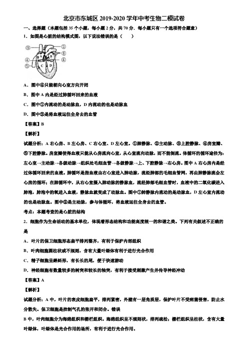 北京市东城区2019-2020学年中考生物二模试卷含解析
