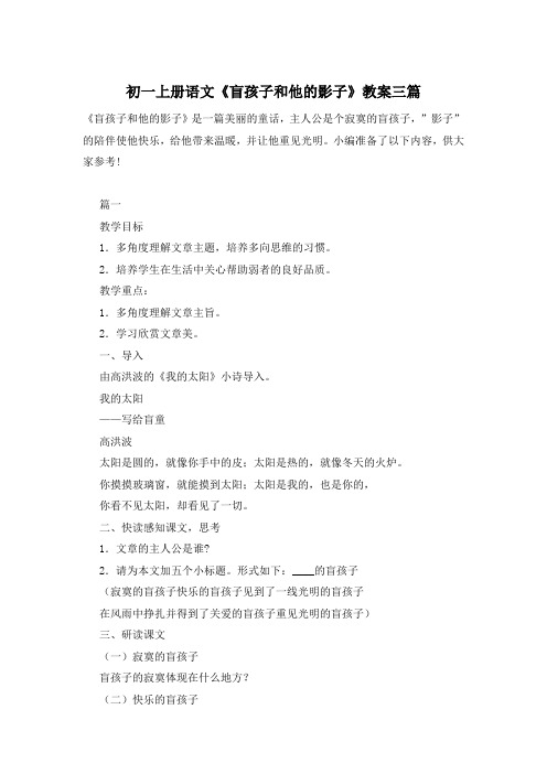 初一上册语文《盲孩子和他的影子》教案三篇