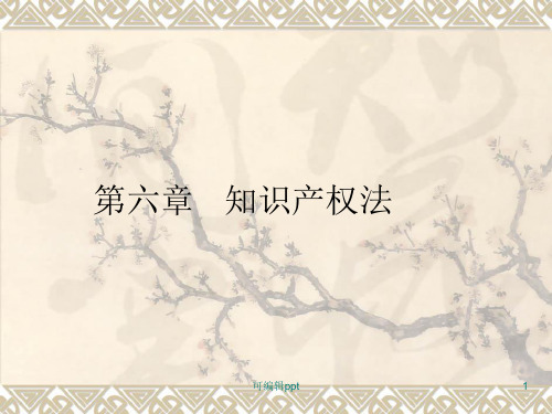 经济法5知识产权法