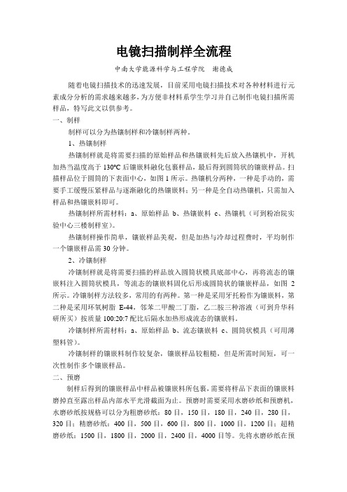 电镜扫描制样全流程