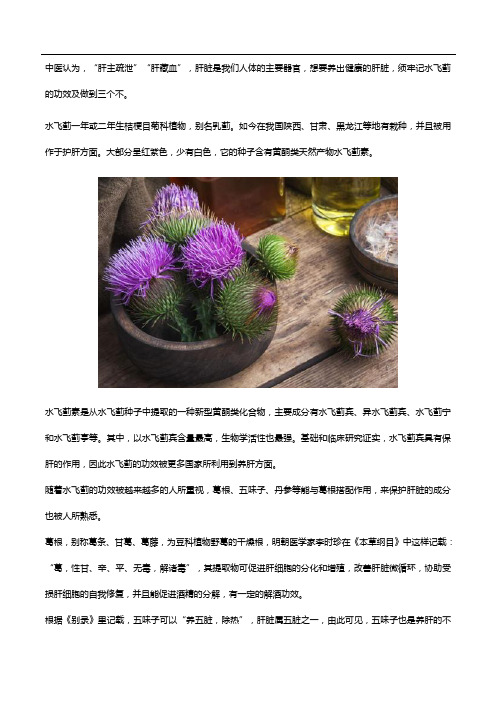 牢记水飞蓟的功效和三个不,助我们保护肝脏