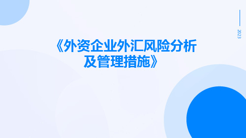 外资企业外汇风险分析及管理措施