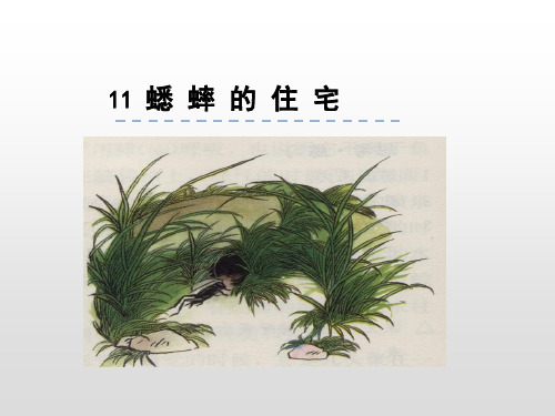 新版四年级上册-11.蟋蟀的住宅人教(部编版) (共48张PPT)