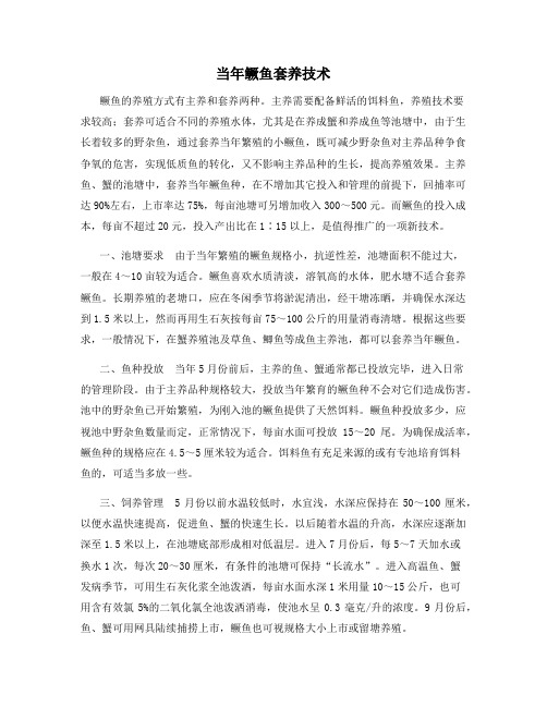 当年鳜鱼套养技术