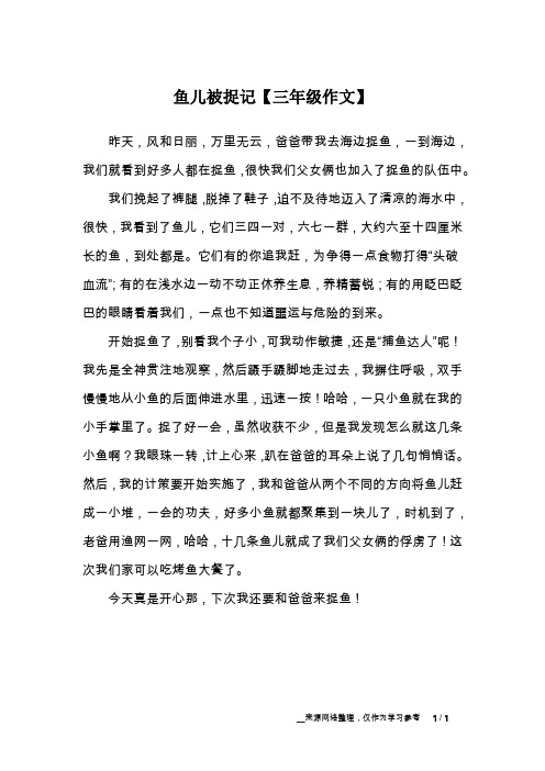 鱼儿被捉记【三年级作文】