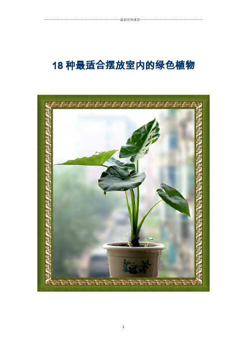 18种最适合摆放室内的绿色植物精编版
