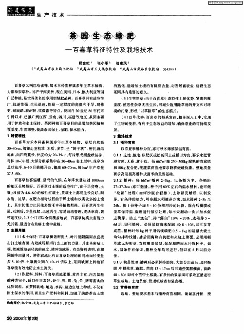 茶园生态绿肥——百喜草特征特性及栽培技术