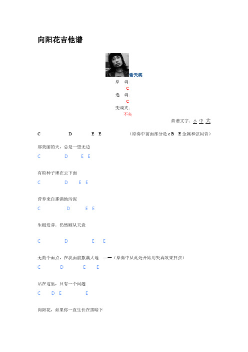 向阳花吉他谱