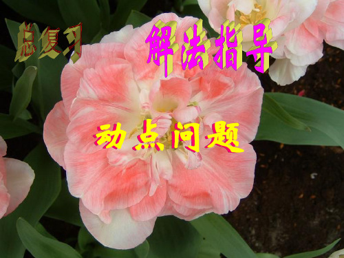 中考数学复习动点问题2[人教版]