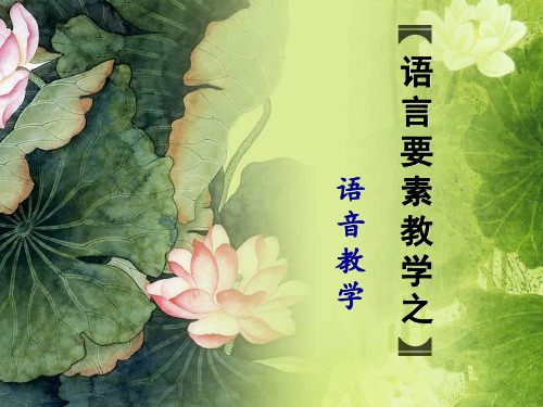 对外汉语教学chapter3语言要素-语音教学