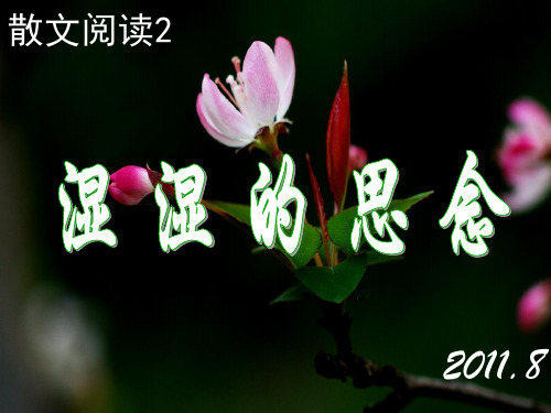 2湿湿的思念