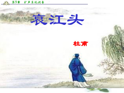 语文：1.3.2《哀江头》课件(粤教选修《唐诗宋词元散曲选读》)