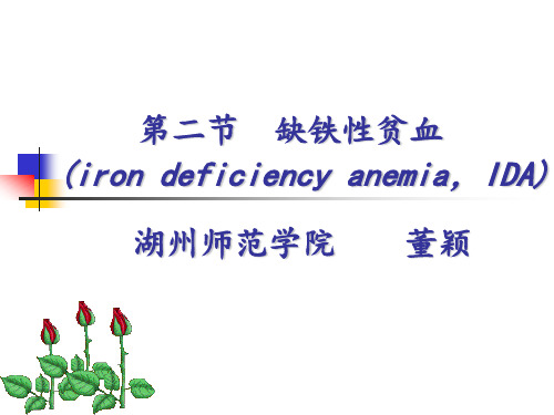 第二章 第二节  缺铁性贫血