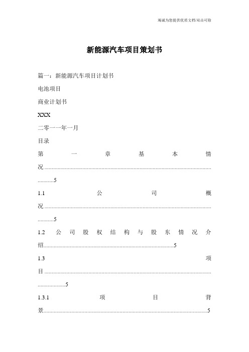 新能源汽车项目策划书