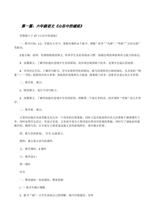 六年级语文《山谷中的谜底》[修改版]